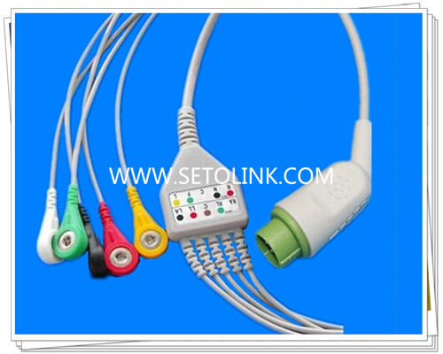 LT 12 Pin One Piece ECG Cable