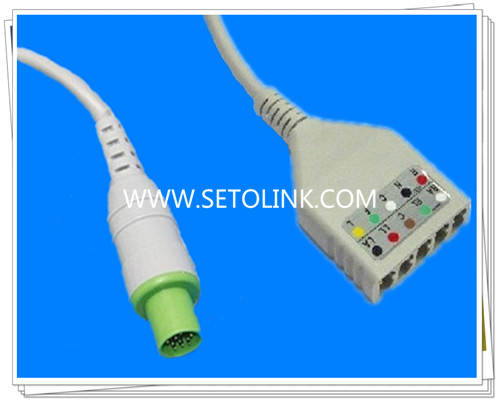 Hellige 10 Pin ECG Trunk Cable