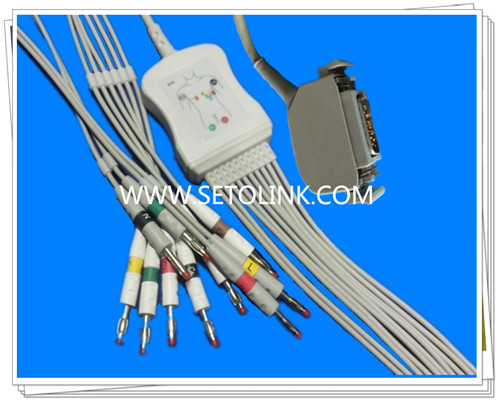 Hellige Siemens Bosch One Piece ECG Cable 10 Leadwires