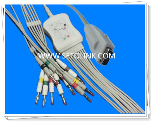 Burdick Eclipse Quinton Atria One Piece ECG Cable