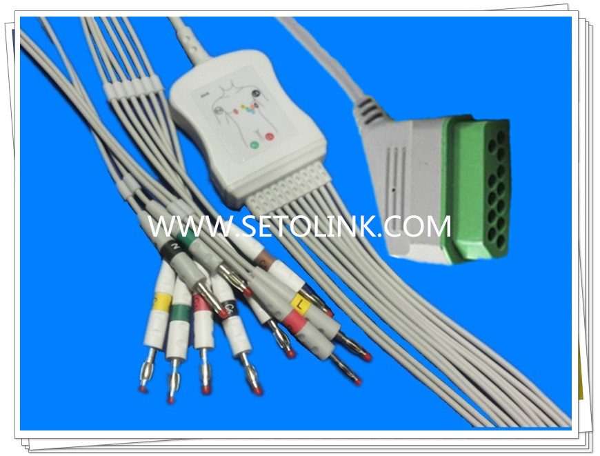 Nihon Kohden BJ900P One Piece ECG Cable 10 Leadwires