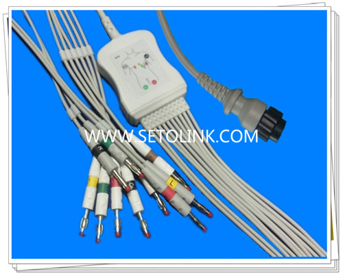 Fukuda MSC 8111 One Piece ECG Cable 10 Leadwires